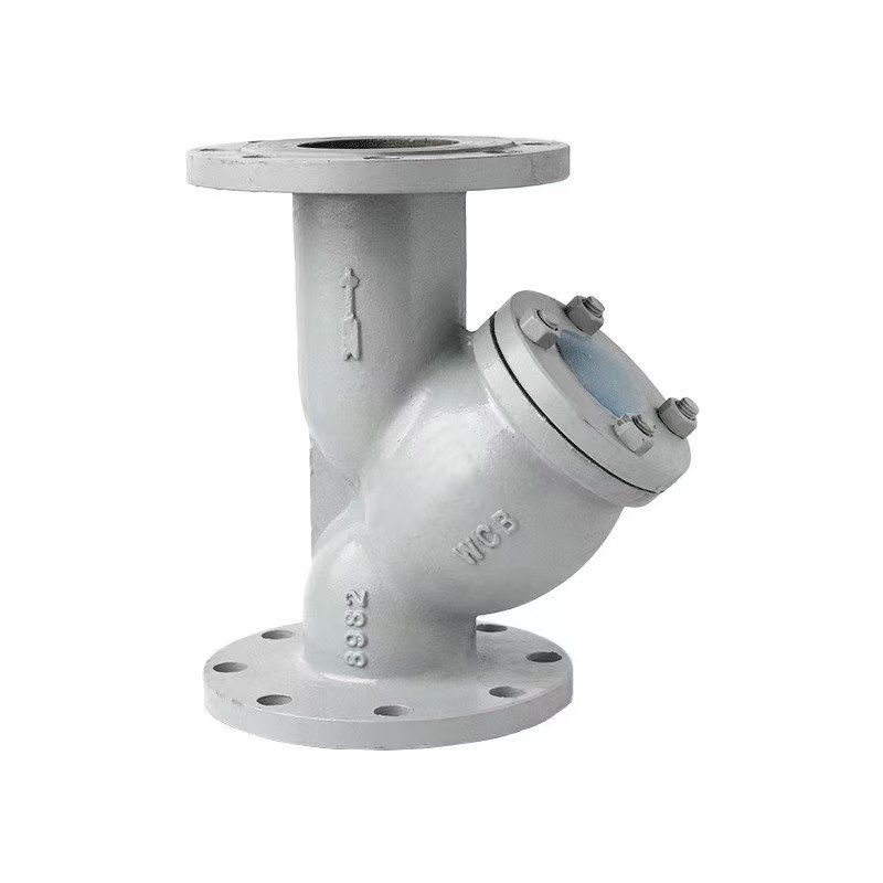 Y型过滤器
